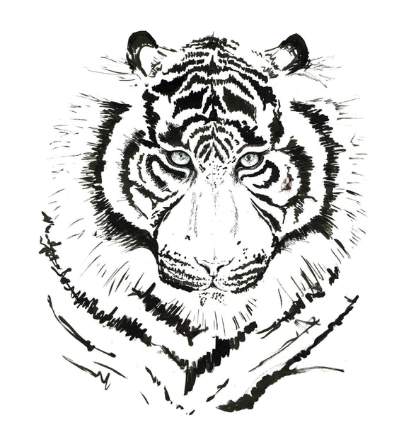 JanaRoos-Illustrations-Black&White-White tiger