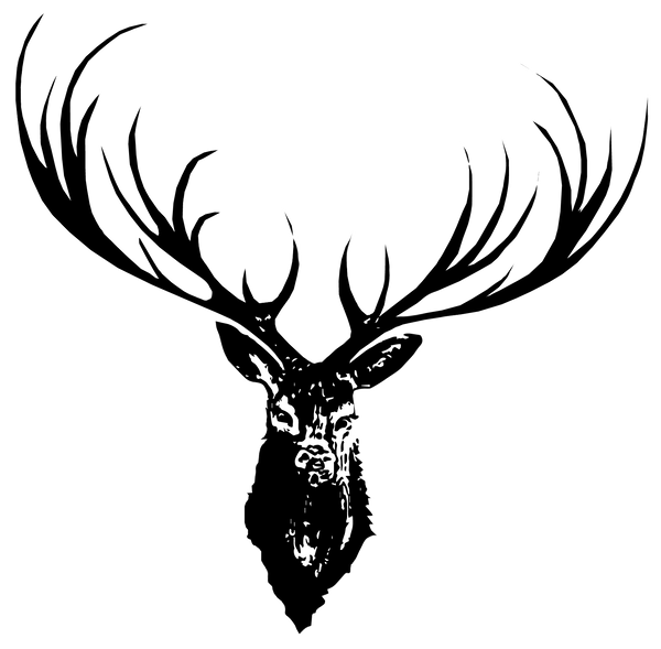 JanaRoos-illustration-Black&White-deer-reindeer-antler