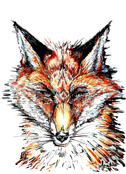 JanaRoos-Illustration-fox