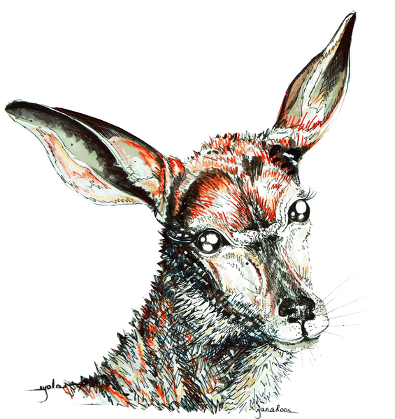 JanaRoos-illustrations-zoo-animals-Nyala-antelope