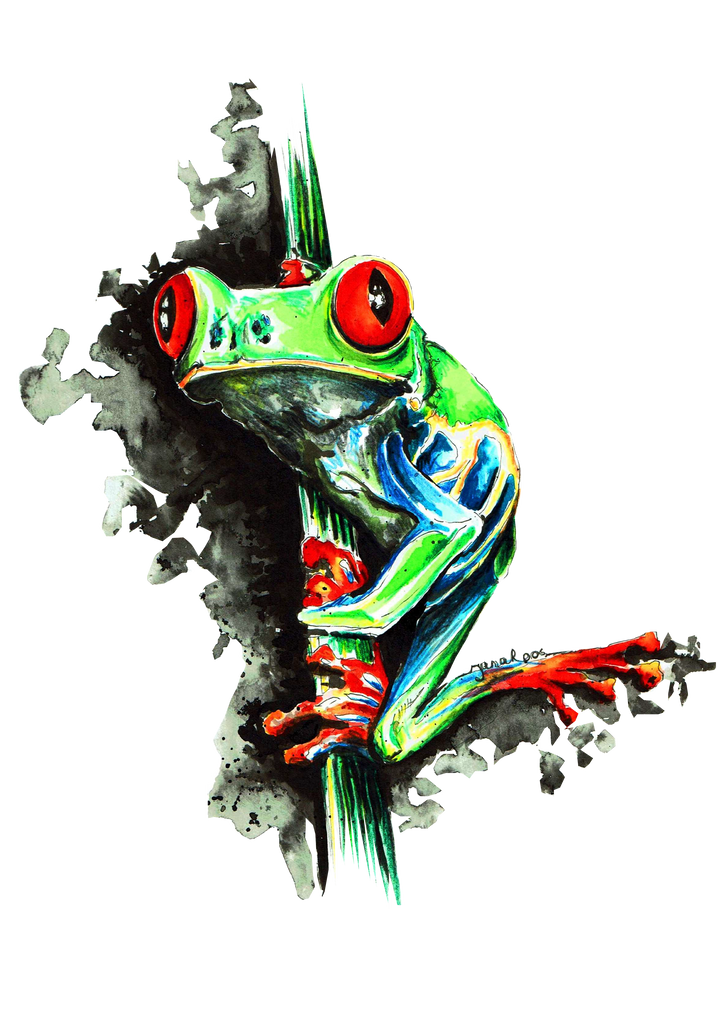 JanaRoos-illustrations-zoo-animals-Rana-frog
