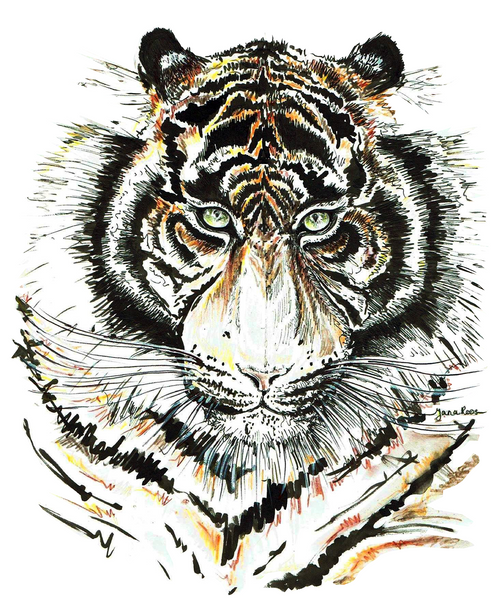 JanaRoos-Illustration-tiger