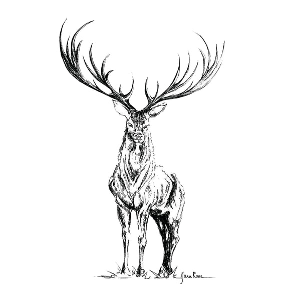 JanaRoos-Illustrations-Black&White-Deer-reindeer