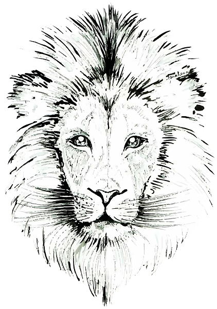 JanaRoos- Illustration - Black & white - Lion