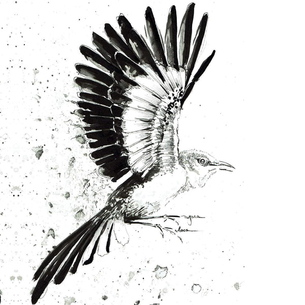 JanaRoos- illustration - Black&white - spotlijster -mockingbird