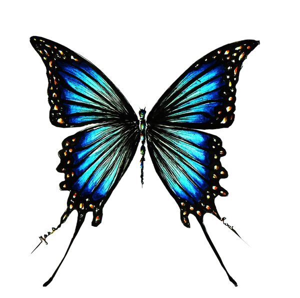 JanaRoos-Illustration-butterfly