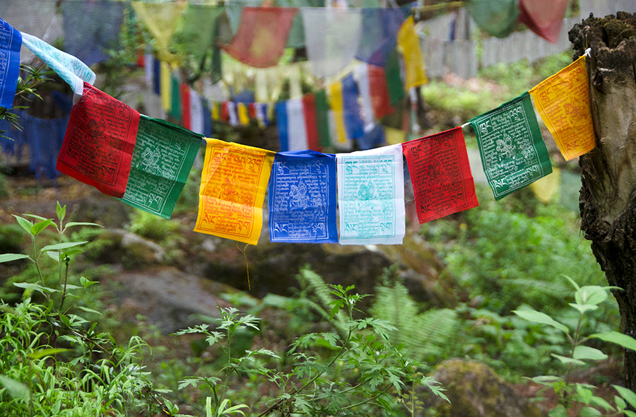 Kết quả hình ảnh cho bhutan prayer flag