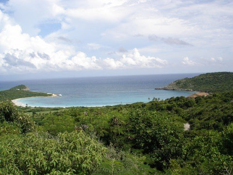 Half Moon Bay, Antigua