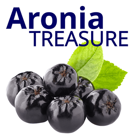 Aronia Melanocarpa Berries