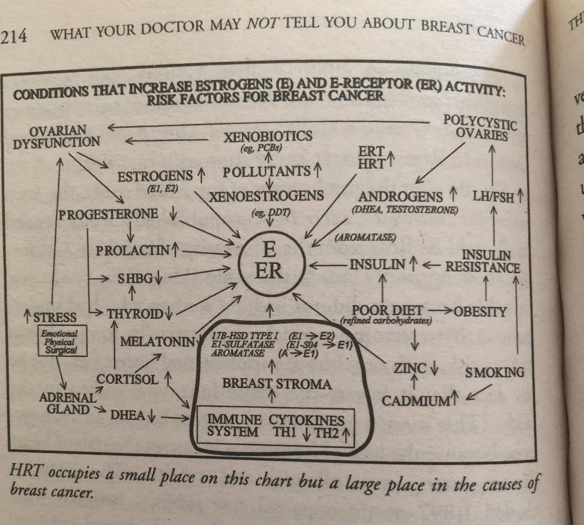 The causes of estrogen-driven breast cancer.