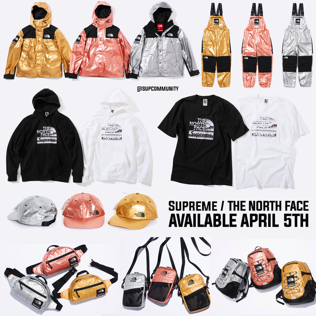 supreme the north face ss18