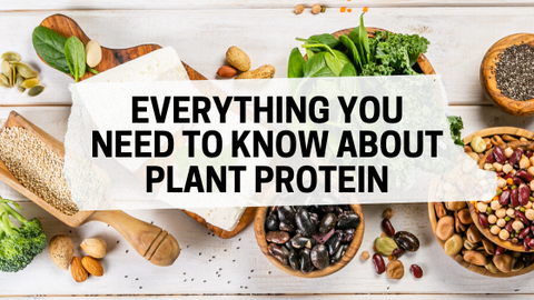 Everything You Should Know About Plant Based Protein