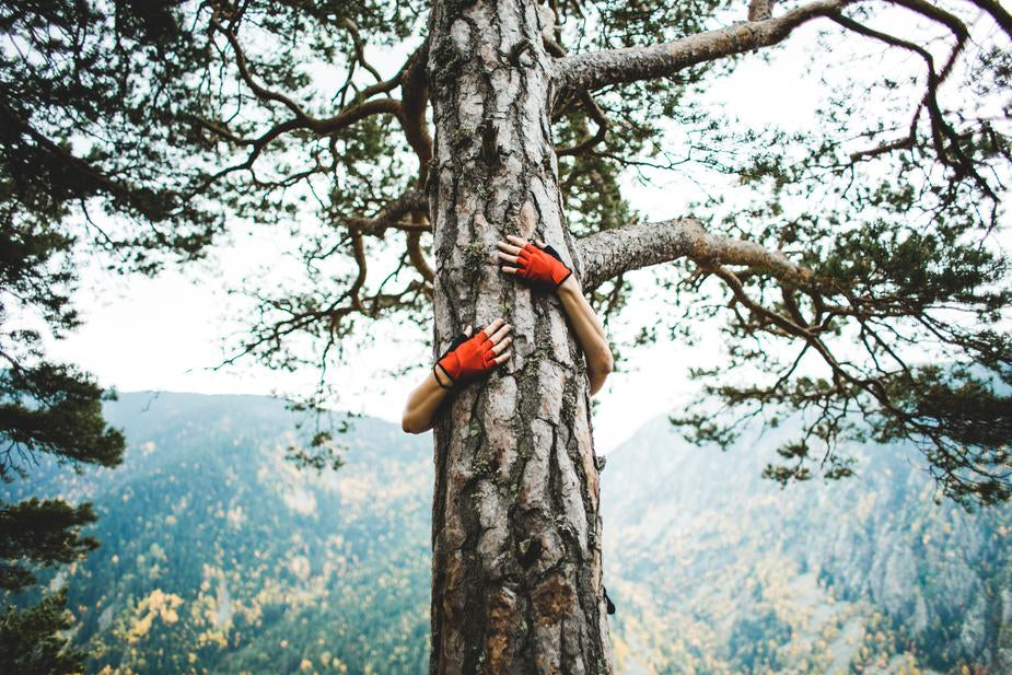 tree climbing for monthly sock club