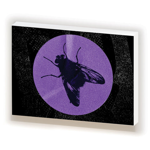 Fine Art Canvas