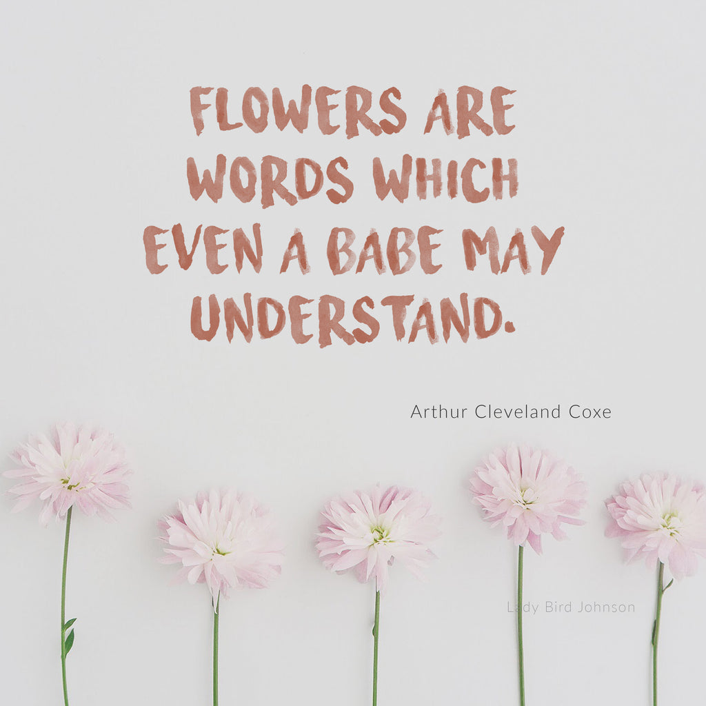 10 inspirational flower quotes by floral neverland