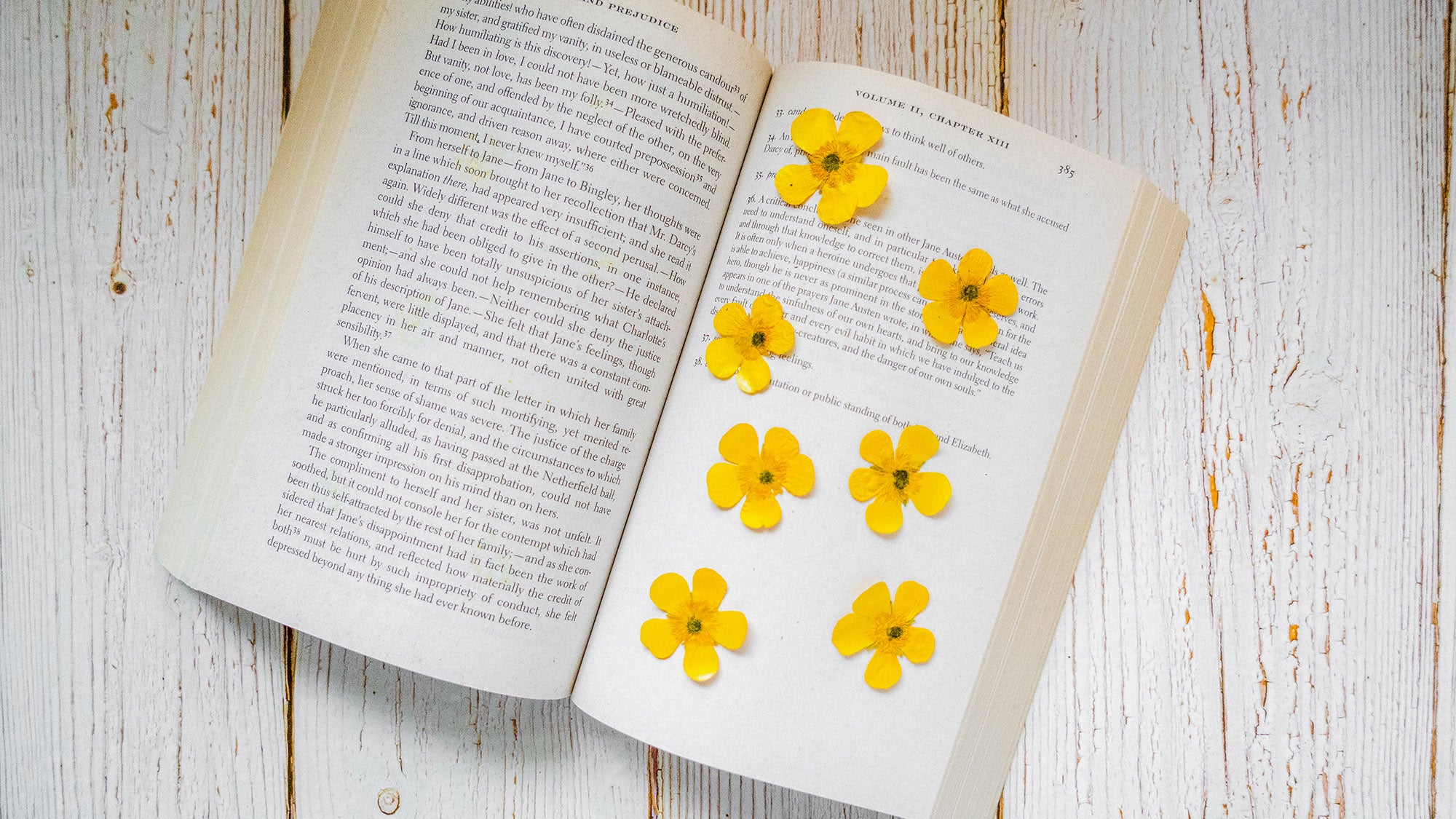 How to Press Flowers in a Book DIY Tutorial by Floral Neverland