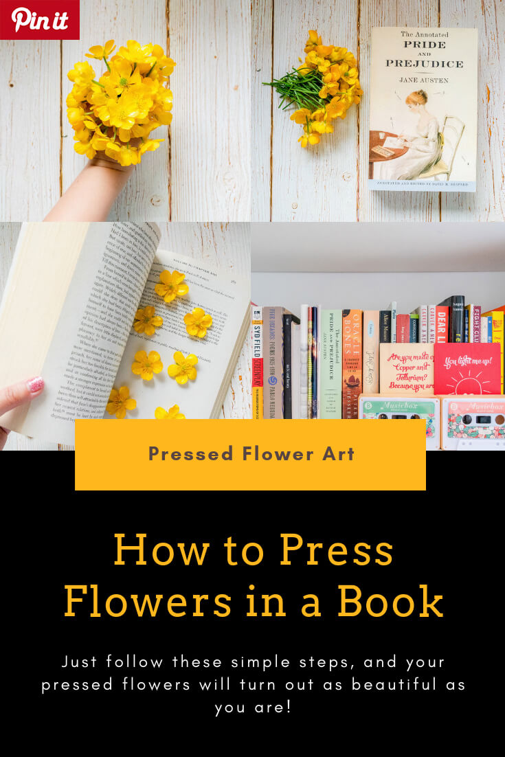 How to Press Flowers in a Book Tutorial by Floral Neverland Floralfy
