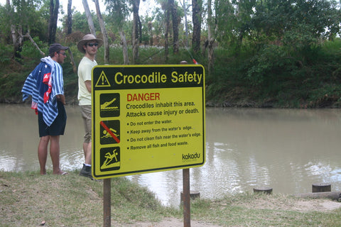 crocodiles-in-kakadu-northern-territory-australia-fishing