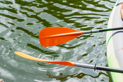 two kayak paddles extending into water
