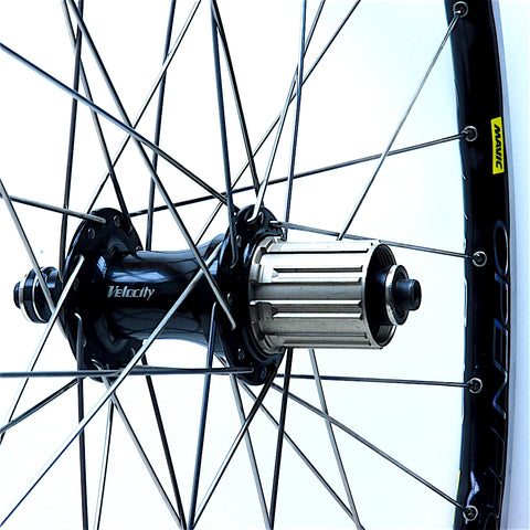 Velocity Sport on Mavic Open Pro UST Rear by XLR8 Performance Bicycle Wheels