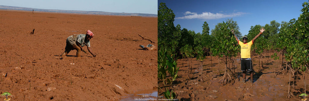 Before and after reforestation in Madagascar