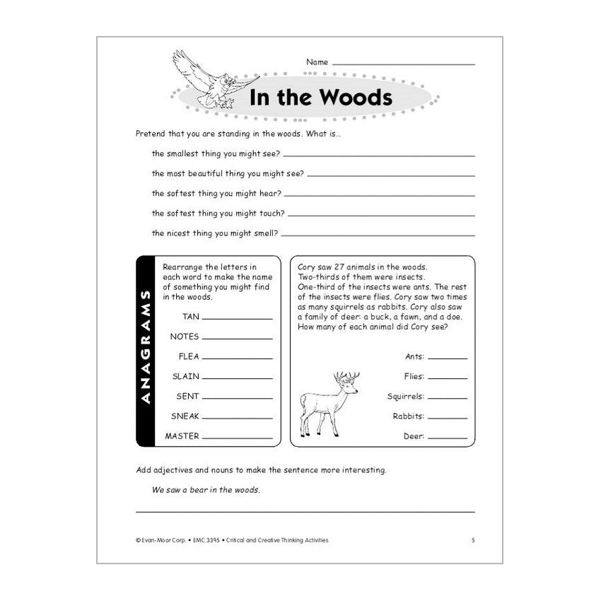 Critical And Creative Thinking Activities - Grade 5 - Timberdoodle Co
