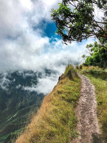 11_Kalepa Ridge Trail Kauai_Clever Girl Life