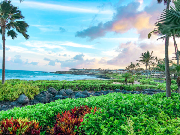 Clever Girl at Grand Hyatt Kauai 