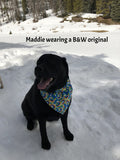 Bark & Wag Doggie Bandanas