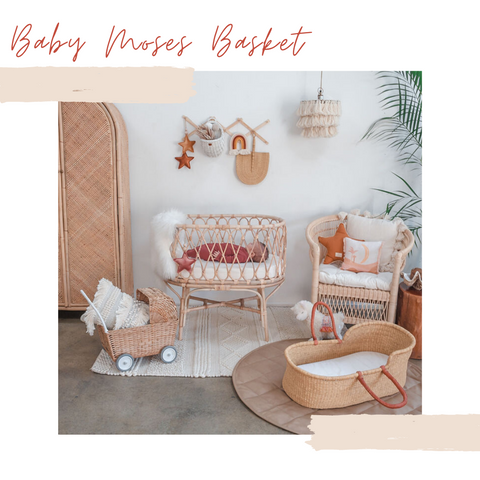 baby moses basket