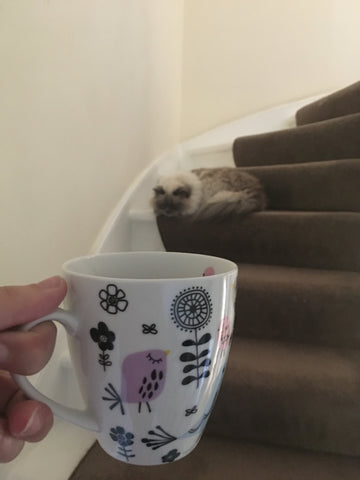 A cuppa and Harry blocking the stairs - Hand Over Your Fairy Cakes - hoyfc.com
