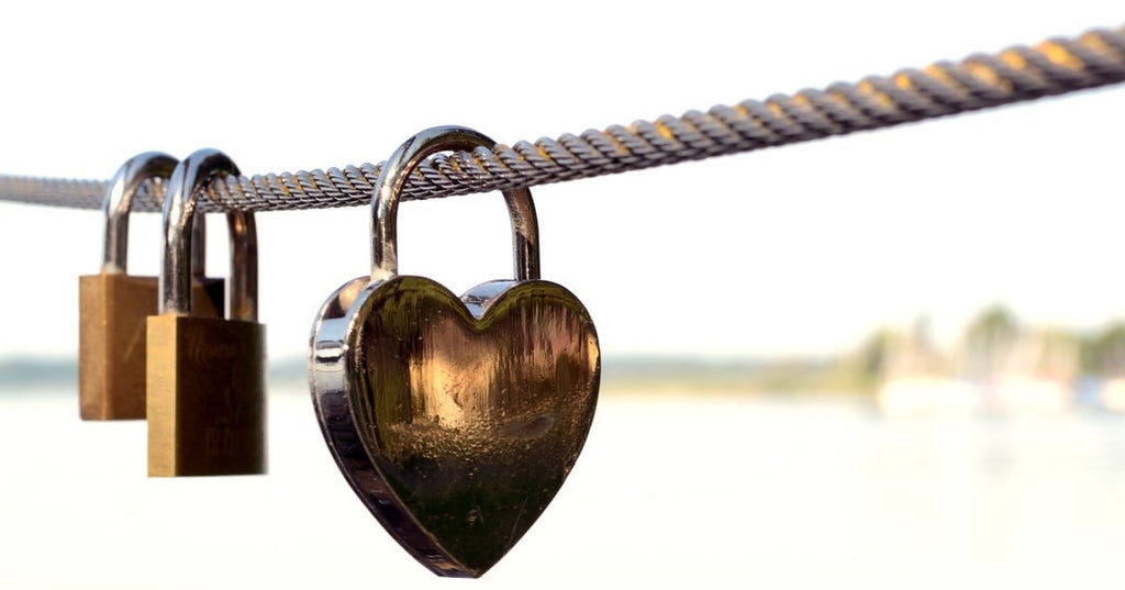 FeetyWeety Store - Love Wins Heart Locks on Metal Rope