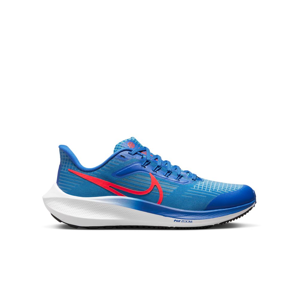 brillante Críticamente En Vivo Kids Nike Air Zoom Pegasus 39 NN GS – Runners Shop