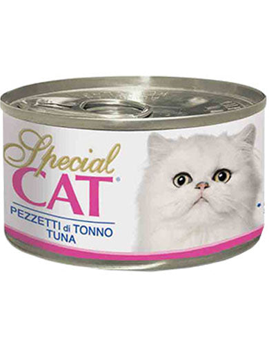 special cat food