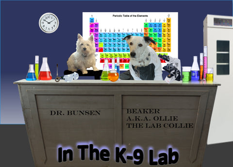 dogs in the k-9 laboratory with glassware and microscope