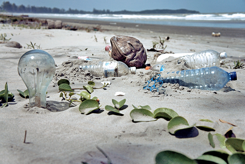 environmental impact of plastic water bottles