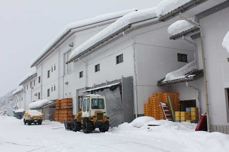 Oita sake brewery