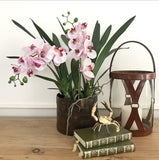 Artificial Phalaenopsis Orchid Stem (Light Pink)