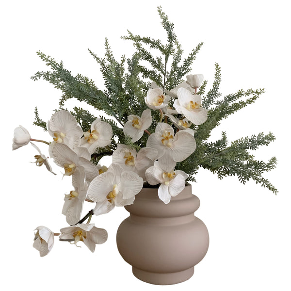 Nude Orchid (Arrangement)