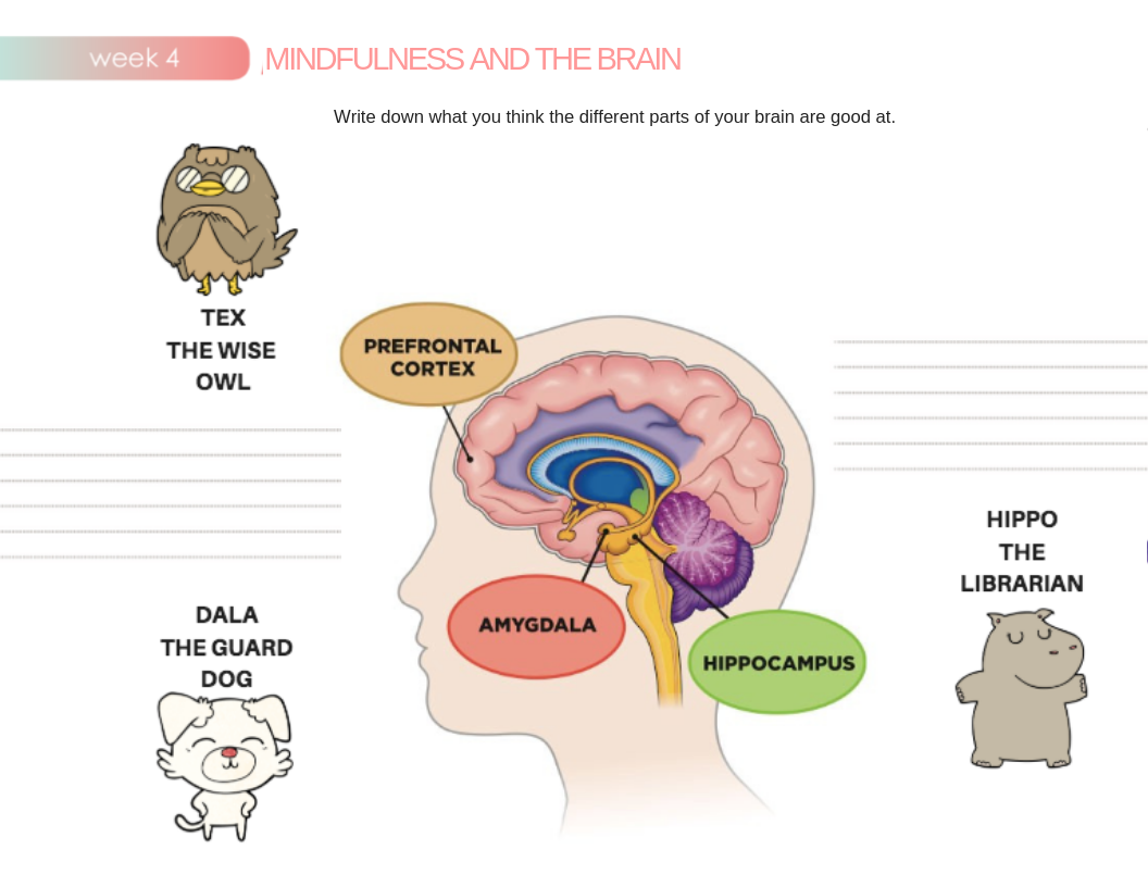 P1_L4_ Mindfulness and the Brain
