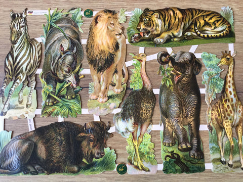 Glanzbilder Wilde Tiere