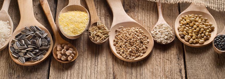 6 Multi-Purpose Vegetable Seeds to Get You Thinking Outside the Garden Box