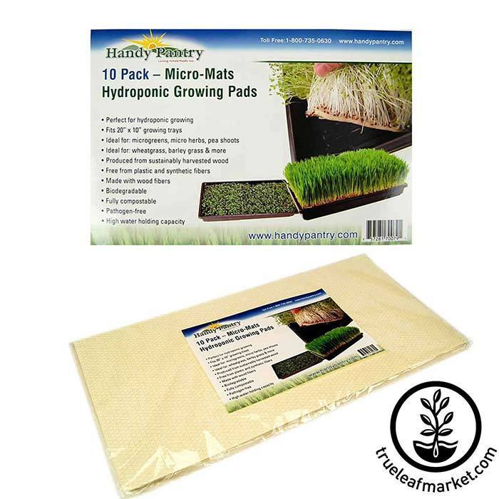 HYDROPONIC GROWING PADS BIODEGRADABLE MICRO MATS SEED GROW STARTER 10x10 cm 