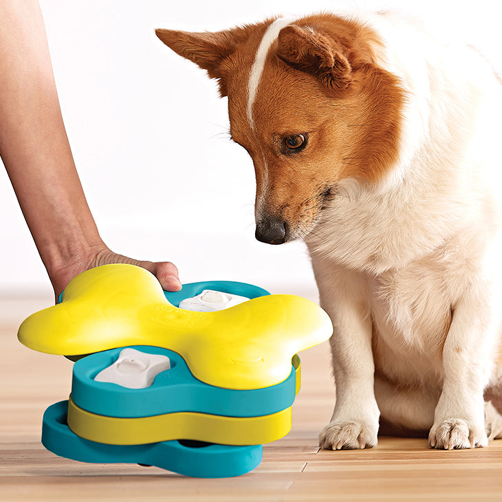 what are the best dog puzzle toys