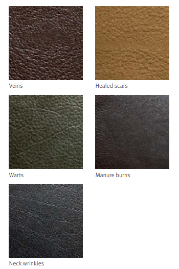 Why Does Leather Crack?---echopurse blog