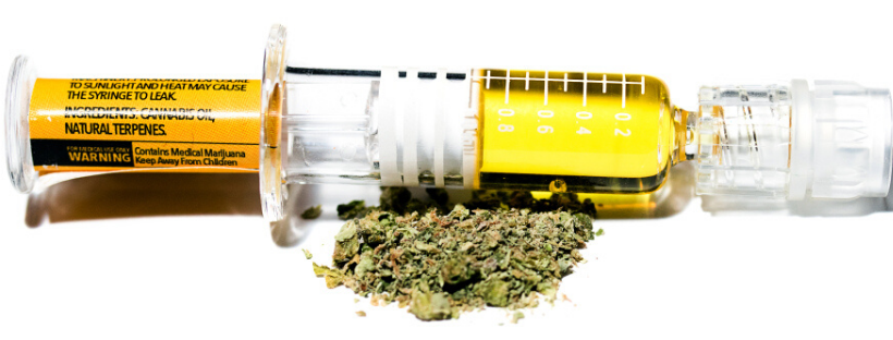Oil vs. Dry Herb: Which One Is Best