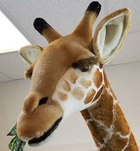 hansa life size giraffe stuffed animal