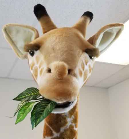 hansa life size giraffe stuffed animal