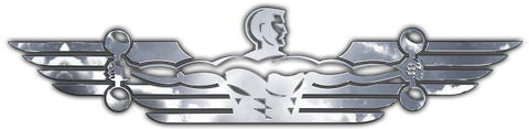 Inflight Fitness Official Logo