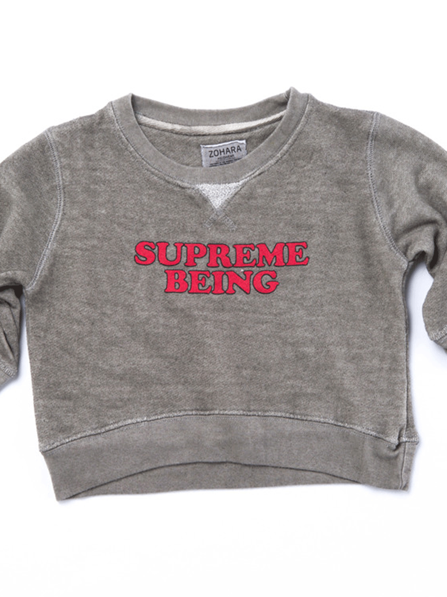 Supreme Being Sweatshirt Grey